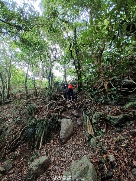 【高雄甲仙】沒有朵朵白雲。 小百岳集起來。 No69小百岳-