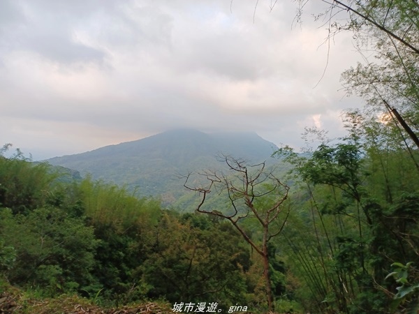 【高雄甲仙】沒有朵朵白雲。 小百岳集起來。 No69小百岳-