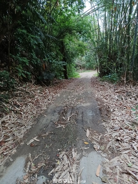 【高雄甲仙】沒有朵朵白雲。 小百岳集起來。 No69小百岳-