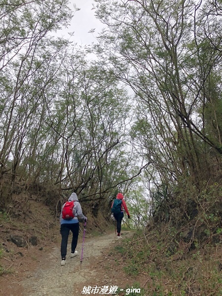 【屏東恆春】墾丁半島最高峰。 小百岳集起來。 No81小百岳