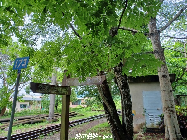 20220515_105809.jpg 20220515_105809.jpg