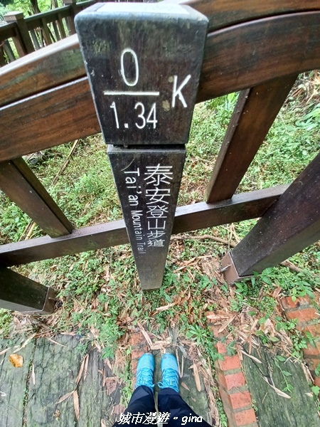 20220515_105909.jpg 20220515_105909.jpg