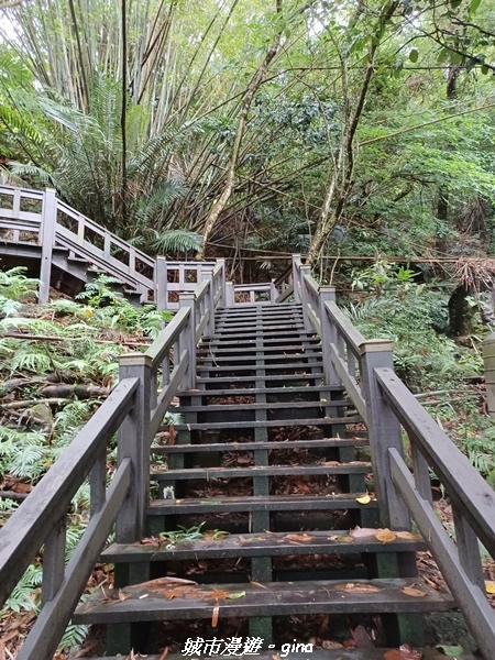 20220515_110008.jpg 20220515_110008.jpg