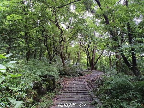 20220515_110455.jpg 20220515_110455.jpg