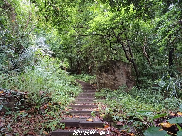 20220515_110335.jpg 20220515_110335.jpg