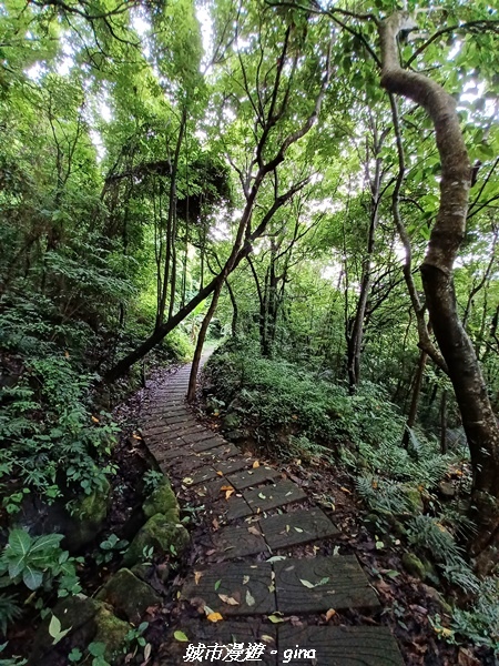 20220515_110712.jpg 20220515_110712.jpg