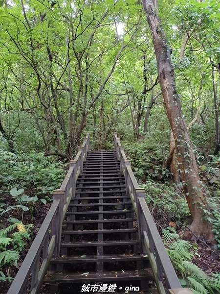 20220515_110630.jpg 20220515_110630.jpg