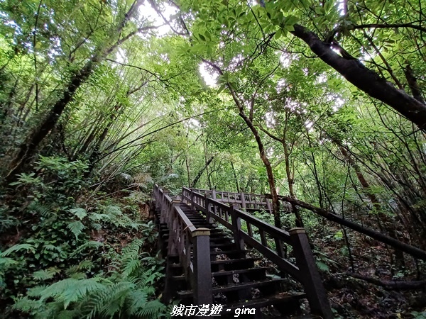 20220515_110819.jpg 20220515_110819.jpg