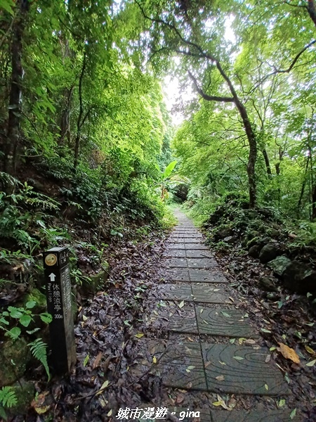 20220515_110742.jpg 20220515_110742.jpg