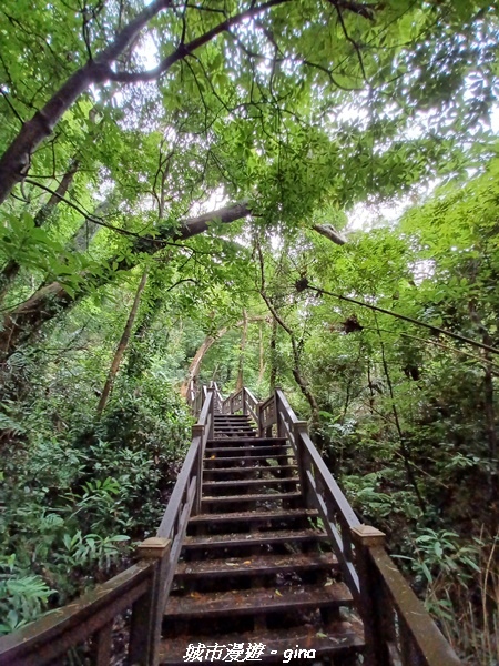 20220515_110854.jpg 20220515_110854.jpg