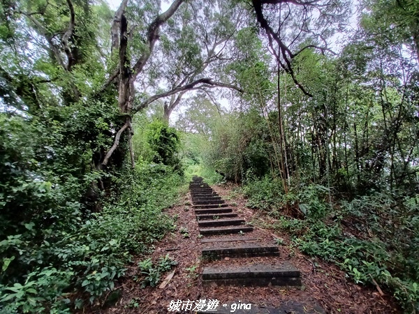 20220515_111514.jpg 20220515_111514.jpg