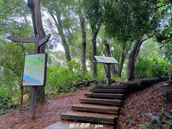 20220515_111751.jpg 20220515_111751.jpg