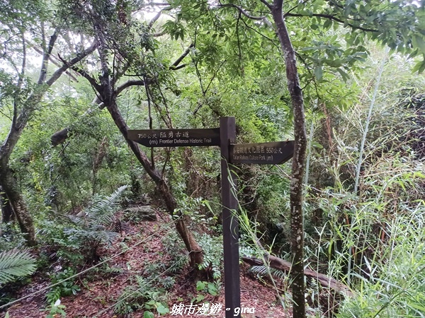 20220515_112128.jpg 20220515_112128.jpg