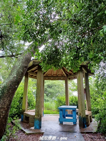 20220515_111851.jpg 20220515_111851.jpg