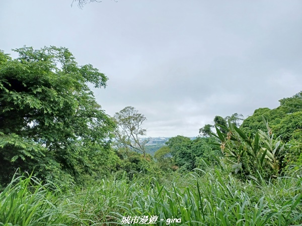 20220515_112600.jpg 20220515_112600.jpg