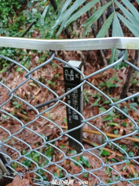 20220515_113007.jpg 20220515_113007.jpg