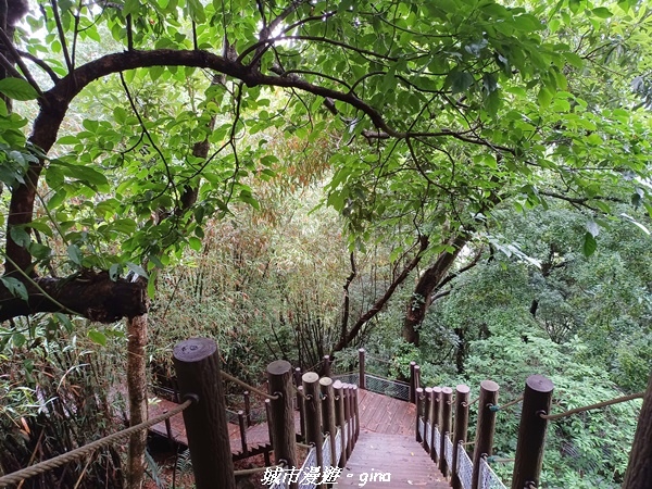 20220515_112219.jpg 20220515_112219.jpg