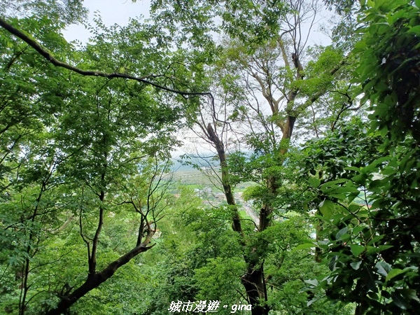 20220515_113257.jpg 20220515_113257.jpg