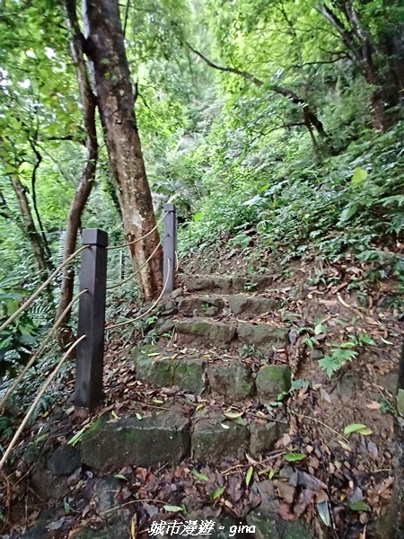 20220515_113547.jpg 20220515_113547.jpg