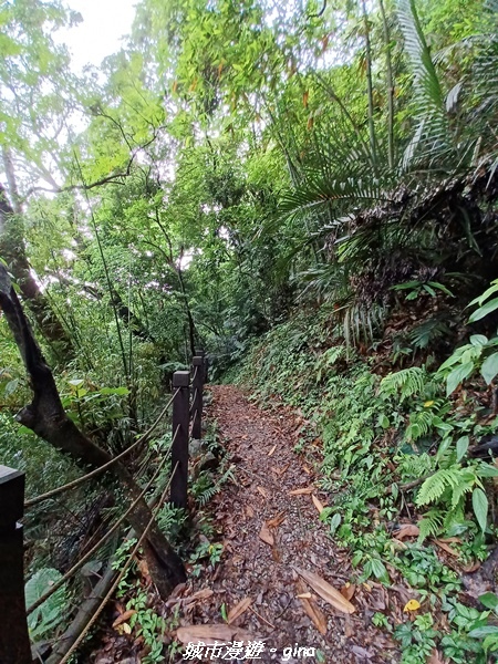 20220515_113500.jpg 20220515_113500.jpg