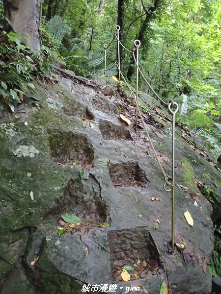 20220515_113914.jpg 20220515_113914.jpg