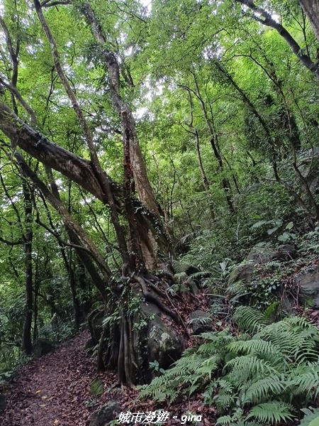 20220515_114232.jpg 20220515_114232.jpg