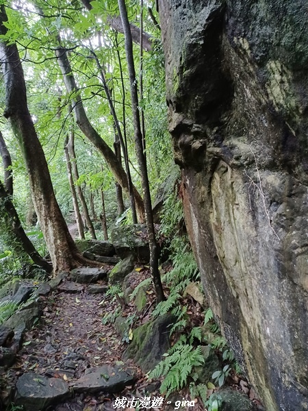 20220515_113919.jpg 20220515_113919.jpg