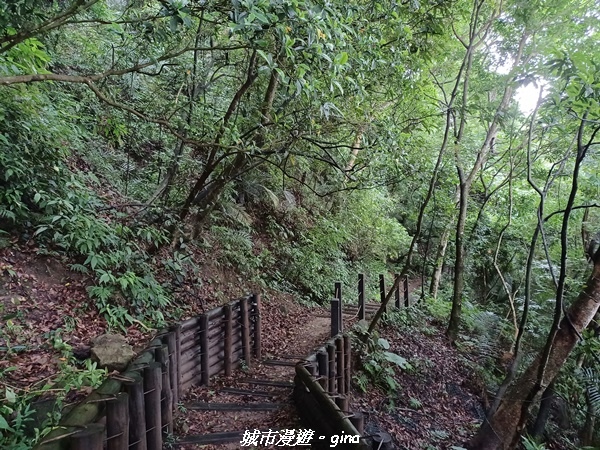 20220515_114413.jpg 20220515_114413.jpg