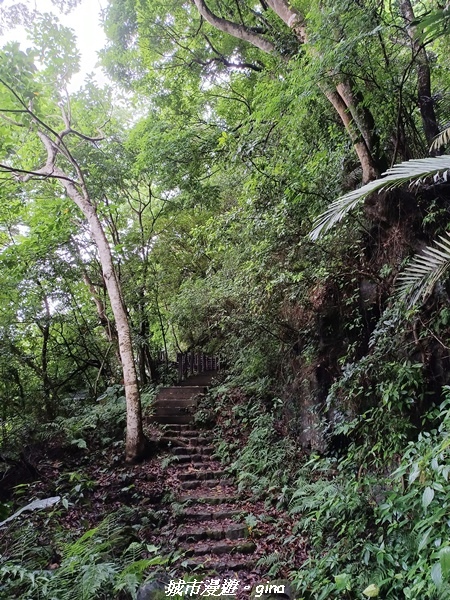 20220515_114317.jpg 20220515_114317.jpg