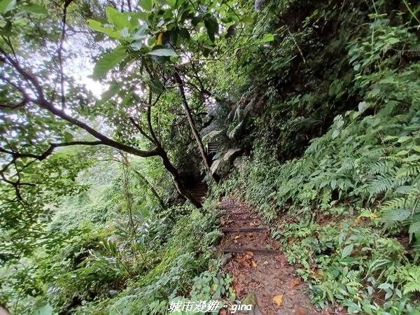 20220515_114626.jpg 20220515_114626.jpg