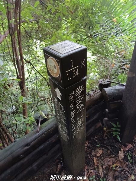 20220515_114426.jpg 20220515_114426.jpg