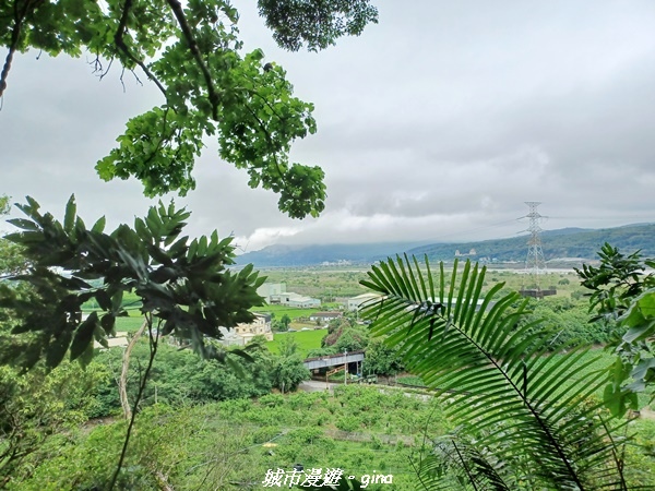 20220515_115140.jpg 20220515_115140.jpg