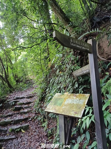 20220515_115410.jpg 20220515_115410.jpg