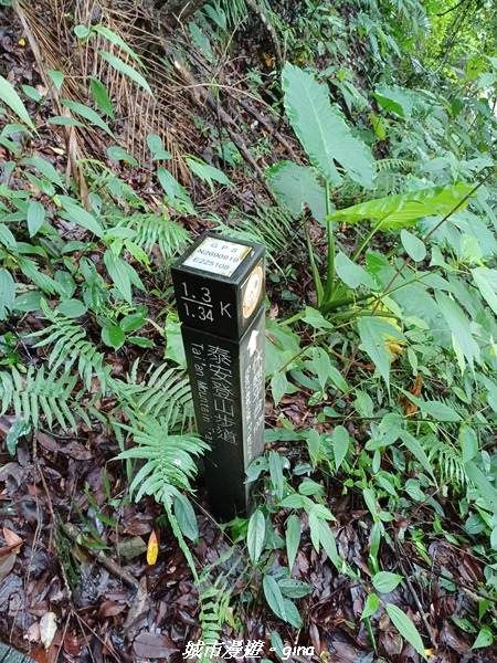 20220515_115355.jpg 20220515_115355.jpg