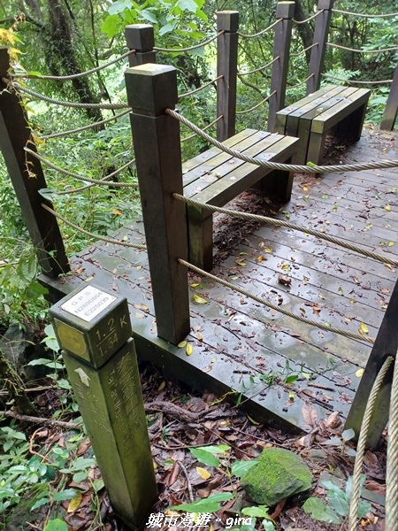 20220515_115053.jpg 20220515_115053.jpg