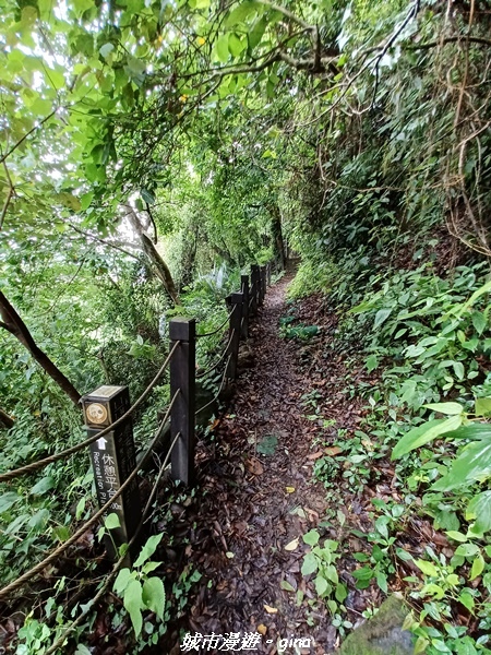 20220515_114742.jpg 20220515_114742.jpg