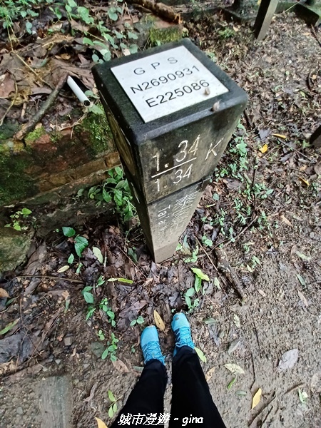 20220515_115527.jpg 20220515_115527.jpg