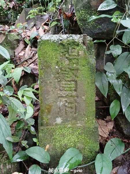 20220515_120442.jpg 20220515_120442.jpg