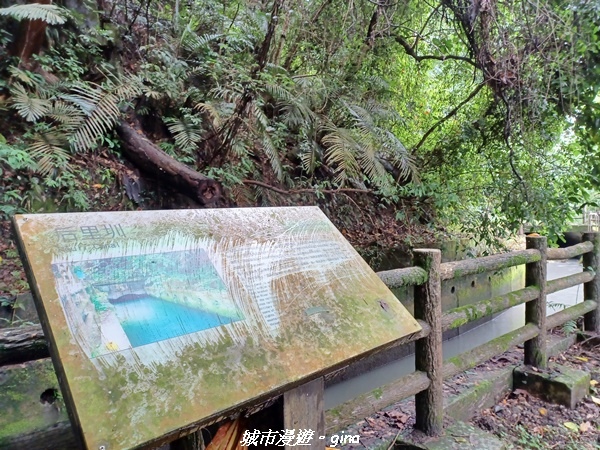 20220515_115606.jpg 20220515_115606.jpg