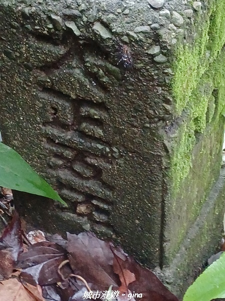 20220515_120352.jpg 20220515_120352.jpg