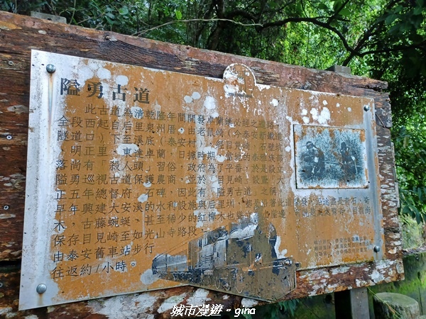 20220515_115623.jpg 20220515_115623.jpg