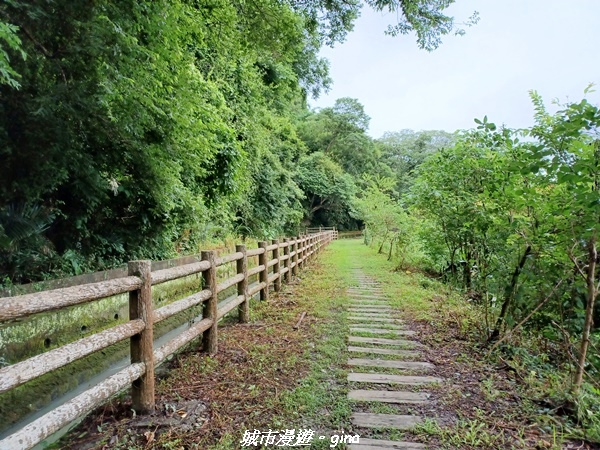 20220515_121006.jpg 20220515_121006.jpg