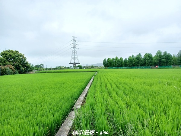 20220515_125503.jpg 20220515_125503.jpg