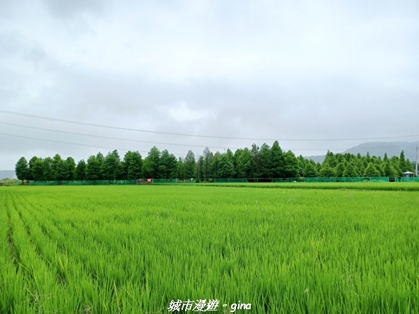 20220515_125456.jpg 20220515_125456.jpg