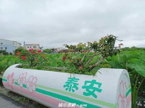 20220515_130315.jpg 20220515_130315.jpg