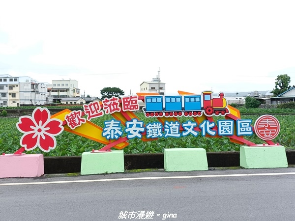 20220515_130512.jpg 20220515_130512.jpg