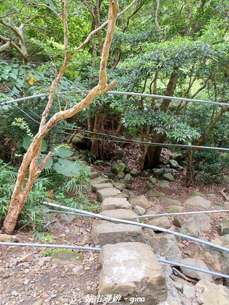 20220603_084512.jpg 20220603_084512.jpg