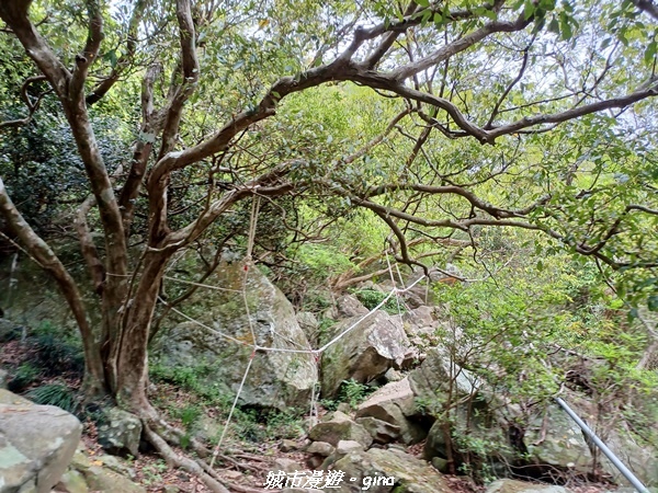 20220603_083948.jpg 20220603_083948.jpg