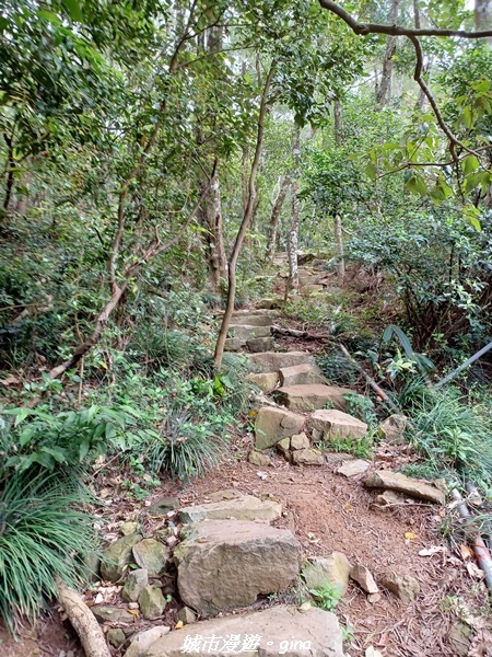 20220603_084923.jpg 20220603_084923.jpg