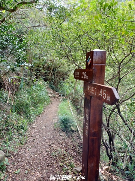 20220603_090511.jpg 20220603_090511.jpg